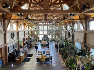 Interior common area with plants and residents