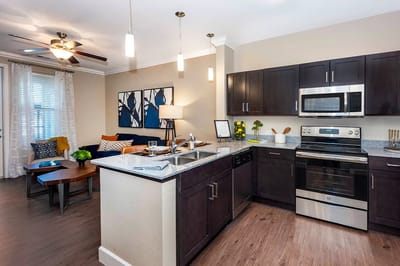 Modern kitchen interior with living room area