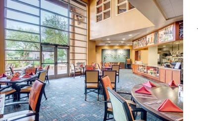 Dining room with tables and chairs, bright sunlight