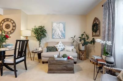 Cozy living area with plants and decorative features