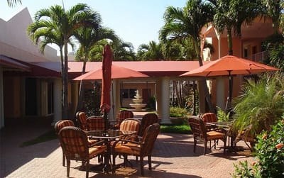 Outdoor seating area with umbrellas and palm trees