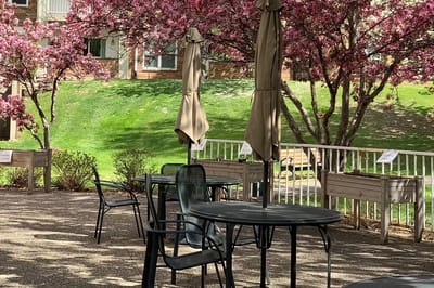 Outdoor seating area with blooming trees