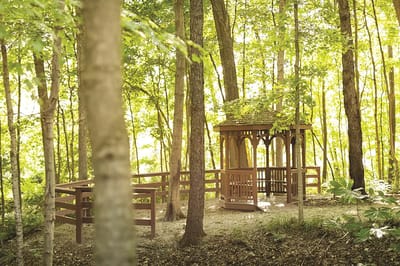 Wooden gazebo surrounded by trees in a serene outdoor space