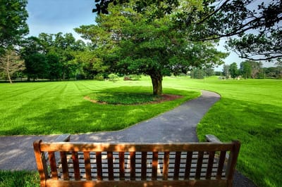 Scenic view of a landscaped outdoor area with a bench
