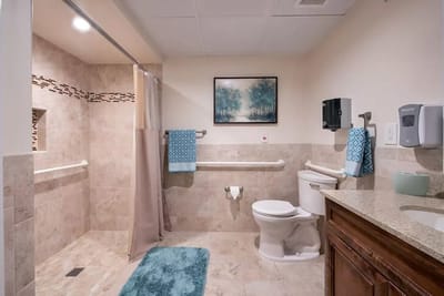 Well-appointed bathroom with grab bars and textured tiles