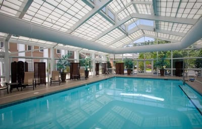 Indoor swimming pool with a bright, airy design
