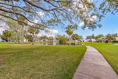 Pathway through a landscaped outdoor area with palm trees