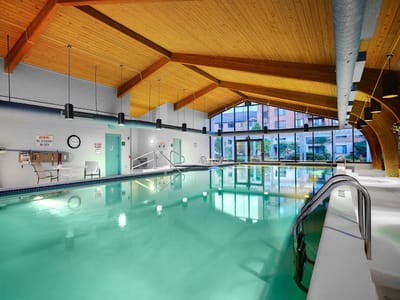 Indoor swimming pool with wooden ceiling and large windows