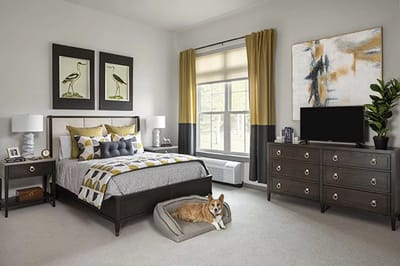 Brightly decorated resident room with a dog sleeping