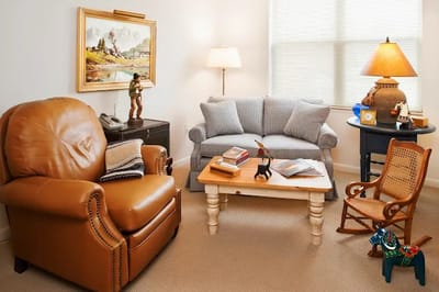 Cozy living room area with comfortable seating