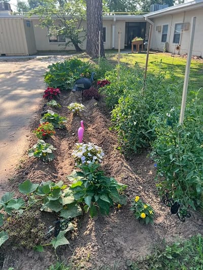 Garden area with colorful flowers and decorations