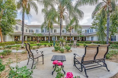 Outdoor garden area with seating and palm trees