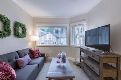 Cozy living room with couch and television