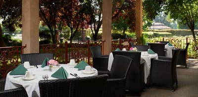 Outdoor dining setup with tables under trees
