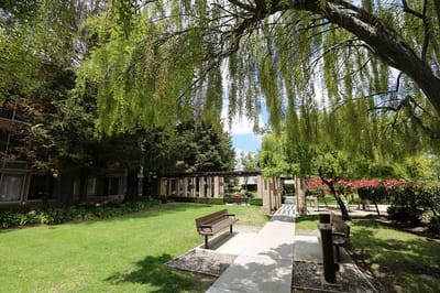 Outdoor area with benches and lush greenery