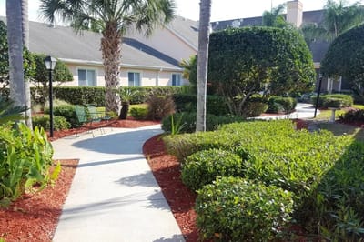 Pathway through a landscaped garden area