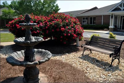 Outdoor space with a fountain and flowering shrubs