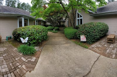 Walking path through landscaped outdoor space