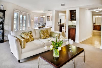Bright interior living space with modern furnishings