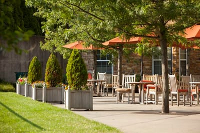 Outdoor seating area with tables and umbrellas