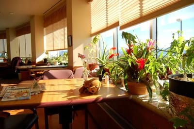 Interior view with sunlight and plants in a common area