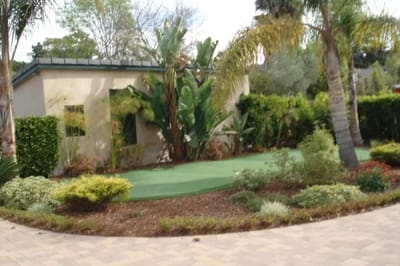 Lush garden area with palm trees and greenery