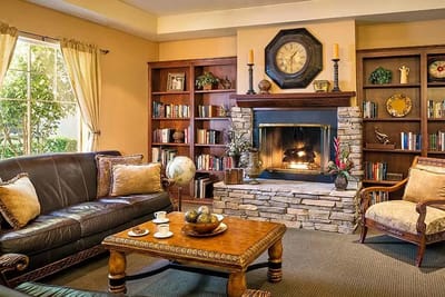 Cozy common area with a fireplace and bookshelves