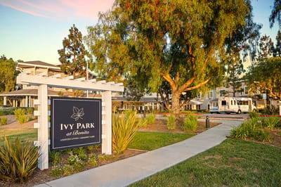 Sign for Ivy Park at Bonita with building in background