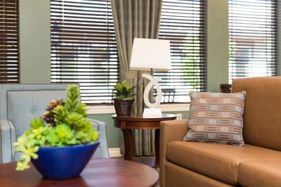 Cozy interior seating area with plants and decor