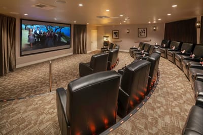 Interior cinema room with plush seating