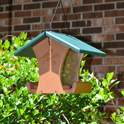 A hanging bird feeder surrounded by greenery