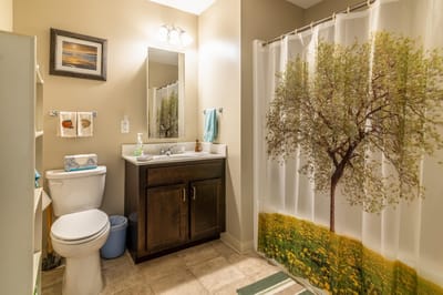 A cozy bathroom with modern fixtures and nature-themed decor