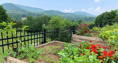 Gardening area with colorful flowers and mountains in background