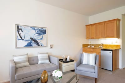 Cozy living area with modern furnishings and kitchenette