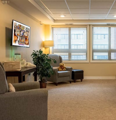 Cozy interior common area with chairs and a TV