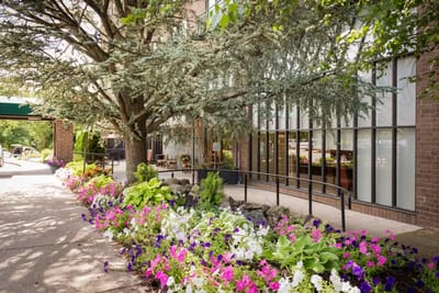 A beautiful pathway with flowers leading to the facility