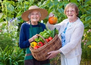 Benton House of Grayson, assisted living in Grayson, GA — Two women holding a basket of fresh vegetables