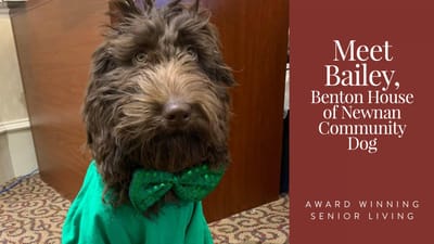 Bailey, the community dog, wearing a bow tie
