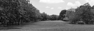 Benton House of Grayson, assisted living in Grayson, GA — Lush green landscape with trees and open grassy area