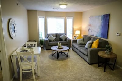 Cozy interior living space with comfortable seating