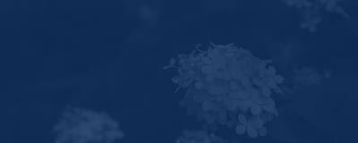 Abstract blue background with floral elements