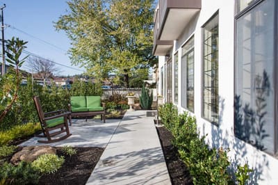 A serene outdoor seating area with chairs and greenery