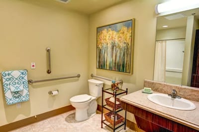 Accessible bathroom with modern decor