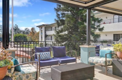 Outdoor seating area with plush chairs and greenery