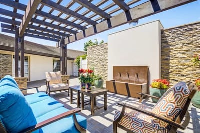 Outdoor seating area with plants and water feature