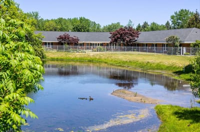 Exterior view of Commonwealth Senior Living with landscaped pond