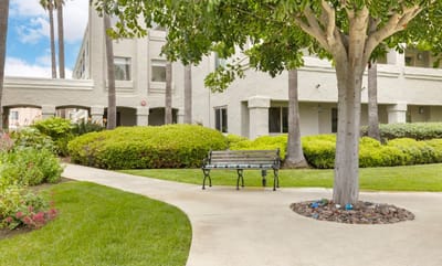 Pathway and seating area in a landscaped outdoor space