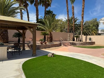 Well-maintained outdoor space with palm trees and seating