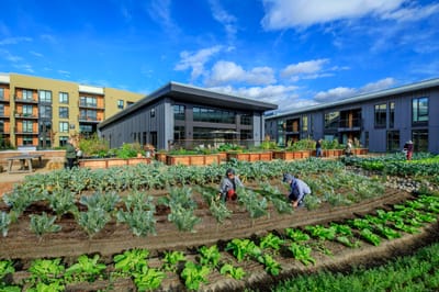 Residents gardening in a vibrant outdoor space