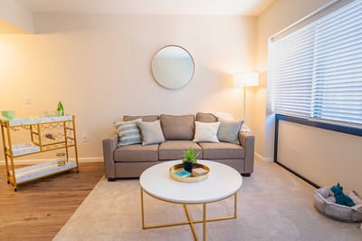 Inviting interior lounge area with a cozy couch and decor